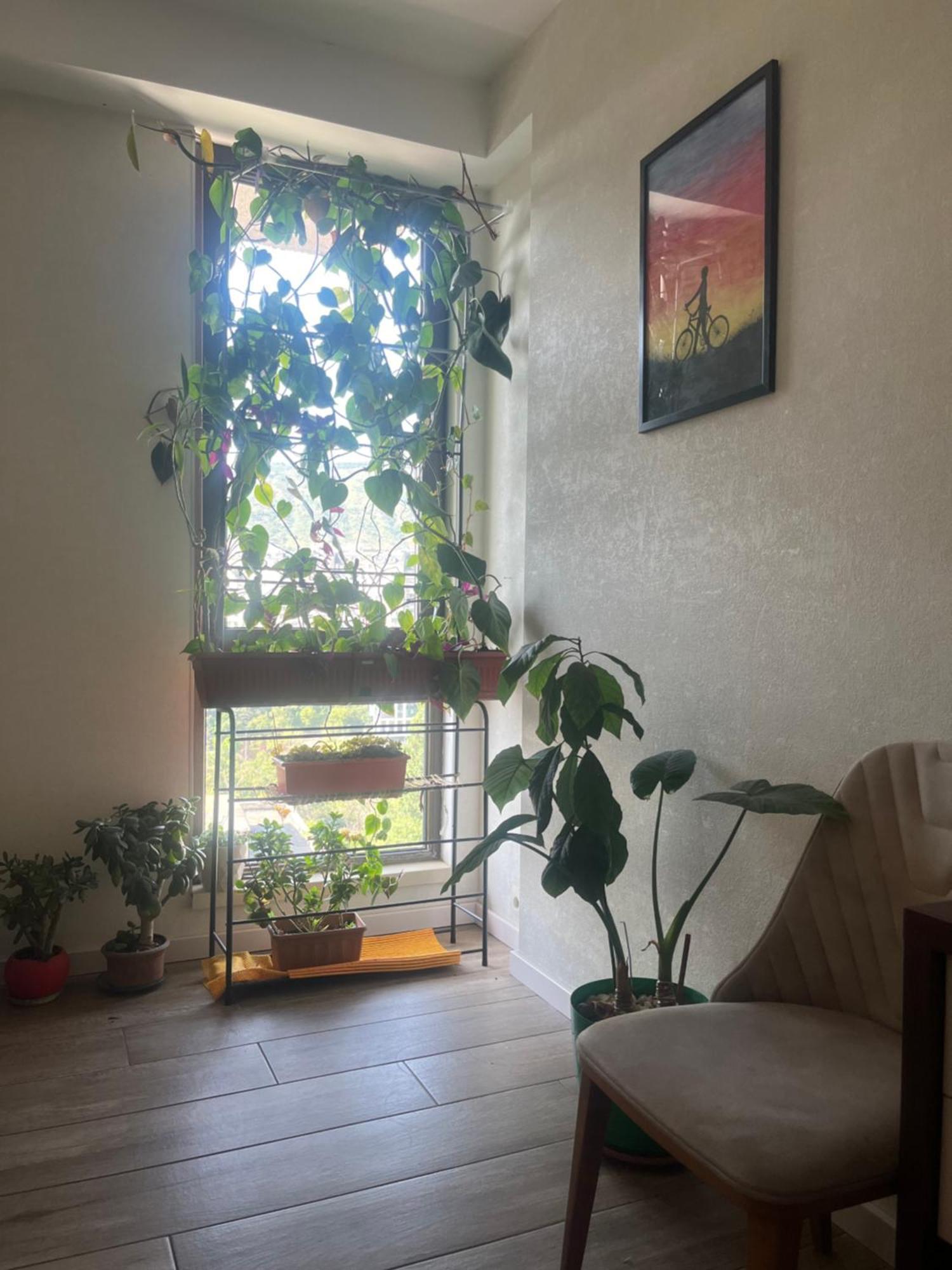 Panorama Khiliani Apartment Tbilisi Ngoại thất bức ảnh